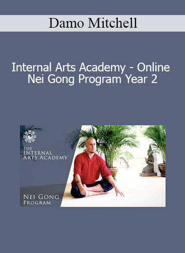 Damo Mitchell - Internal Arts Academy - Online Nei Gong Program Year 2